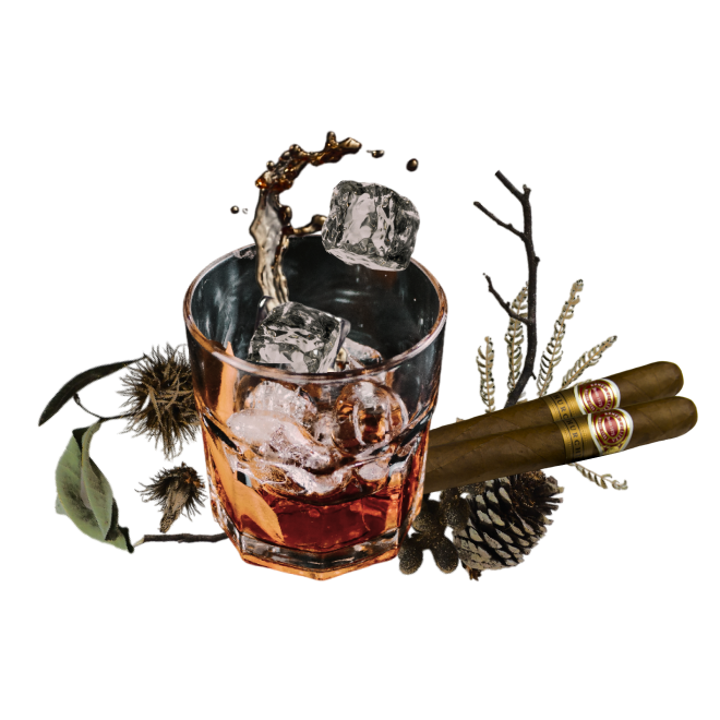 Whisky glass and cigar