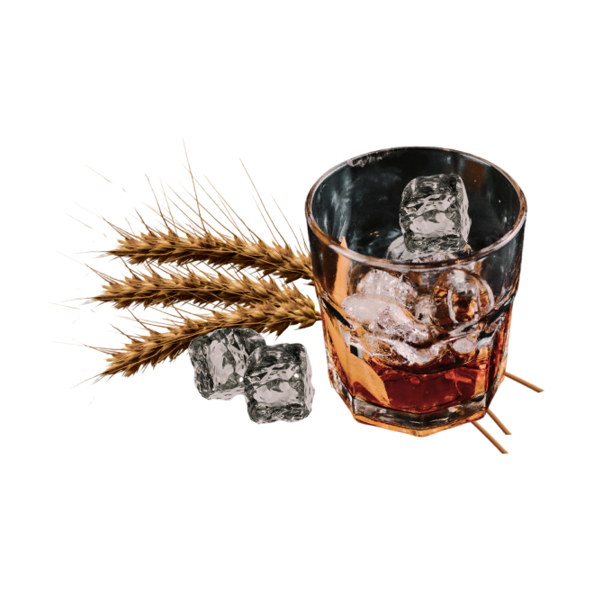 Whisky glass with ice